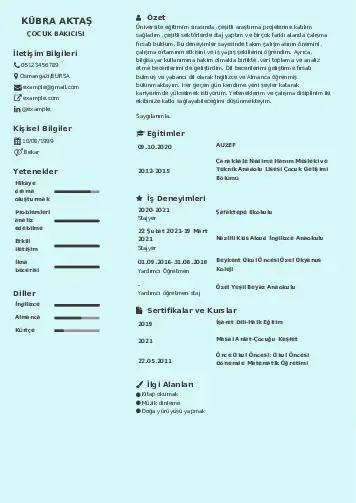 Çocuk Bakıcısı CV Örnekleri cv indir